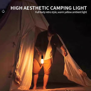 Светодиодные наружные гирляндные лампы 10 Вт, 5 м - Product Image 5