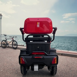 Motocicleta Eléctrica de Carrocería Abierta para Personas con Discapacidad, con Capacidad para 2 Pasajeros - Product Image 4