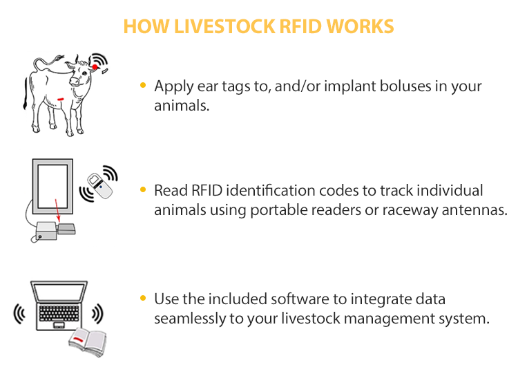 RFID Barcode Anting Sapi Babi Ternak Uhf, Eartag Binatang Sapi Sapi untuk Babi Sapi Domba