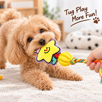 Jouet à mâcher pour chien en corde TPR avec personnage en peluche couineur pour jeu de traction