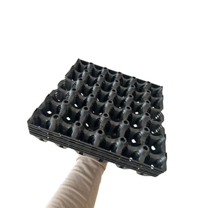 Plateau à oeufs en plastique Incubateur en plastique Plateau à oeufs de poulet <span class=keywords><strong>Caisse</strong></span> d'emballage réutilisable pour 30 oeufs à vendre - Product Image 4