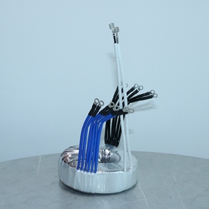 Yüksek kaliteli Toroidal çekirdek 50W-5000W giriş sanayi Tester için 110V 120V Toroidal trafo - Product Image 4