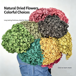 Vente directe d'usine, hortensias conservés avec branches, <span class=keywords><strong>fleurs</strong></span> décoratives pour la Saint-Valentin, la <span class=keywords><strong>fête</strong></span> <span class=keywords><strong>des</strong></span> <span class=keywords><strong>mères</strong></span>, la remise <span class=keywords><strong>des</strong></span> diplômes, 40 couleurs - Product Image 5