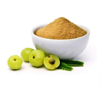 Poudre d'extrait d'Amla de qualité alimentaire supérieure, naturelle, pour applications culinaires raffinées, mélanges de smoothies et recettes