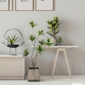 Planta Artificial de Lirio de Estilo Nórdico Grande para Espacios Interiores, Simulación de Hierba y Árbol en Maceta de Plástico para Decoración de Sala de Estar - Product Image 4