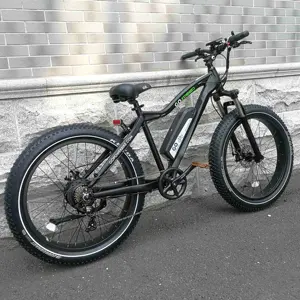 उच्च गुणवत्ता वाले बिजली बाइक 48v 500w ebike वसा टायर पहाड़ ई बाइक इलेक्ट्रिक साइकिल