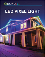 Nouveau Hot Sale12V 24V Led Pixel Light RGBW Full Color Amusement Pour Maison Noël Vacances LED Point Lights Source