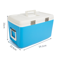 Glacière portable rigide isolée Pinnacle Eskimo Large 28L/30L/33L à rayures rétro pour le camping et le stockage des aliments
