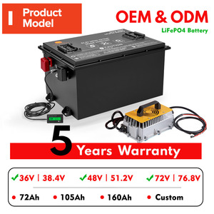 Baterai lithium buggy golf listrik 36v 48v 60v 72v baterai buggy golf elektrik - Product Image 6