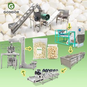 Machine automatique verticale de décorticage et de triage des bulbes d'ail noir, capacité 500 kg, avec fonction de séparation des gousses et de retrait de la peau - Product Image 1