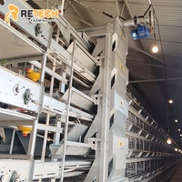 Système d'élevage automatique de 25 000 poulets en cages galvanisées à chaud à 3 niveaux avec alimentation et abreuvement pour le Kenya