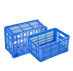<strong>Storage</strong> Plastic <strong>Crates</strong> for Fruits and Vegetables Wholesale - Product Image 4