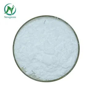 Newgreen Supply High Quality Food Grade Piperine Wholesale Natural Black Pepper Extract Powder 95% 98% Piperine
