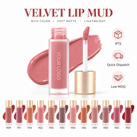 Rouge à lèvres liquide mat velours RTS 5g, 12 teintes, longue tenue, résistant au transfert, faible MOQ 3 pièces, vente en gros, logo personnalisé