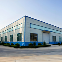 Estructura de Acero Personalizada para Estacionamiento Industrial Apex AP-29UISN, Exportada a Sudeste Asiático y África, para Centros Comerciales