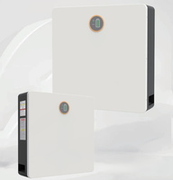 Batterie de stockage d'énergie solaire domestique 51,2 V 100 Ah 5,12 kWh au phosphate de fer et de lithium, support mural ou au sol pour système solaire
