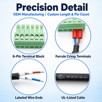Harnais de bornier enfichable personnalisé 2-12 broches 3.81-5.08mm en cuivre étamé, avec gaine thermorétractable en PVC noir 18-26AWG 300V OEM