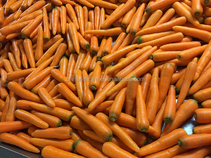 निर्यात के लिए स्थिर गुणवत्ता के साथ कार्टन में ताजा गाजर - Product Image 5