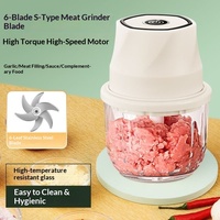 Mini hachoir électrique pour légumes, hachoir à ail, broyeur, moulin à gingembre et à viande rechargeable par USB, robot culinaire, gadget de cuisine