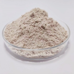 ISO HACCP chứng nhận tinh khiết tự nhiên <span class=keywords><strong>Psyllium</strong></span> hạt trấu bột <span class=keywords><strong>Psyllium</strong></span> trấu bột - Product Image 2