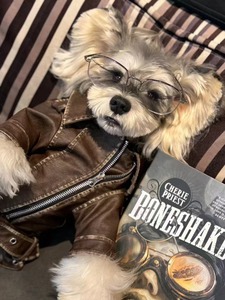 Vintage Style PU Leather Dog Jacket <b>Cool</b> Biker Pet Coat with Zipper for Small Medium Dogs - Product Image 4