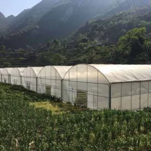 Skyplant dust-proof and rain-proof Agrofilm greenhouse covering shrink film