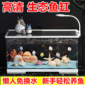 Tanque de escritorio ecológico grande para el hogar, pecera transparente HD, base de madera para acuario, escurridor inferior de tubería de agua libre para perezosos - Product Image 6