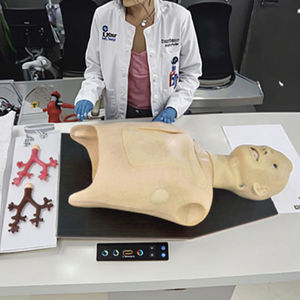 Modelo de simulación pulmonar bronquial para entrenamiento en escuelas de medicina, <span class=keywords><strong>endoscopia</strong></span> de fibra óptica de PVC, procedimientos orales de auscultación pulmonar - Product Image 5