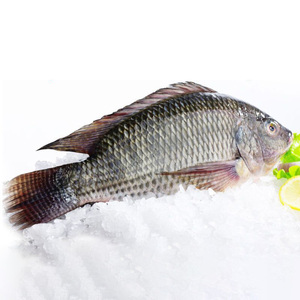 Esportazione Cinese: Tilapia Intera Congelata IQF/IWP/IVP, 10kg per Cartone, Tutte le Dimensioni - Product Image 1