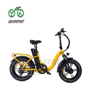 QUEENE/Vélo électrique à gros pneus à double moteur/Vélo électrique tout-terrain/Vélo électrique de plage - Product Image 2