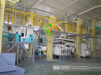 Systèmes complets de traitement du riz Machines de tri et d'emballage pour le nettoyage et le conditionnement des semences de riz