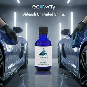 ECOWAY C815-MS Revestimiento Protector de Pintura para Autos Resistente a la Intemperie, Calidad Premium, Venta Caliente, Revestimiento de Pintura Resistente a las Ondas de Aire - Product Image 6
