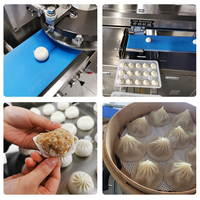 Machine automatique à boulettes de soupe et à pains vapeur fourrés 220V-380V
