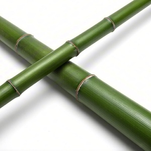 QY Herb Meilleur Choix : Achetez de la Poudre d'Extrait de Bambou de Qualité Alimentaire - Product Image 3