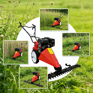 Débroussailleuse autoportée pour défrichage, moteur diesel 247cc, largeur de <span class=keywords><strong>coupe</strong></span> 80-120cm, hauteur réglable 1-8cm, pneus pleins - Product Image 1