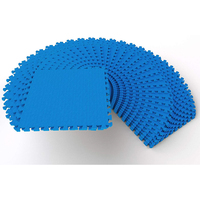 Tapis de sol emboîtable en mousse souple Horizon Gym, écologique, imperméable, pour entraînement de Taekwondo, Karaté et équipement de fitness à domicile