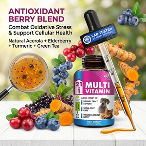 Травяные капли для собак, кошек, для снятия стресса, успокаивающий раствор для бедер, Омега 3 6 9, конопляное масло, поливитаминные пищевые добавки для домашних животных - Product Image 3