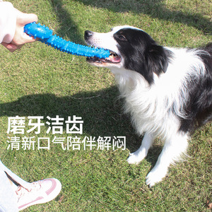 Grand <span class=keywords><strong>anneau</strong></span> <span class=keywords><strong>de</strong></span> traction os jouet pour chien dents pour animaux <span class=keywords><strong>de</strong></span> compagnie bâton <span class=keywords><strong>de</strong></span> meulage avec épine chien formation interactive jouets à mâcher pour animaux <span class=keywords><strong>de</strong></span> compagnie pour chiens - Product Image 4