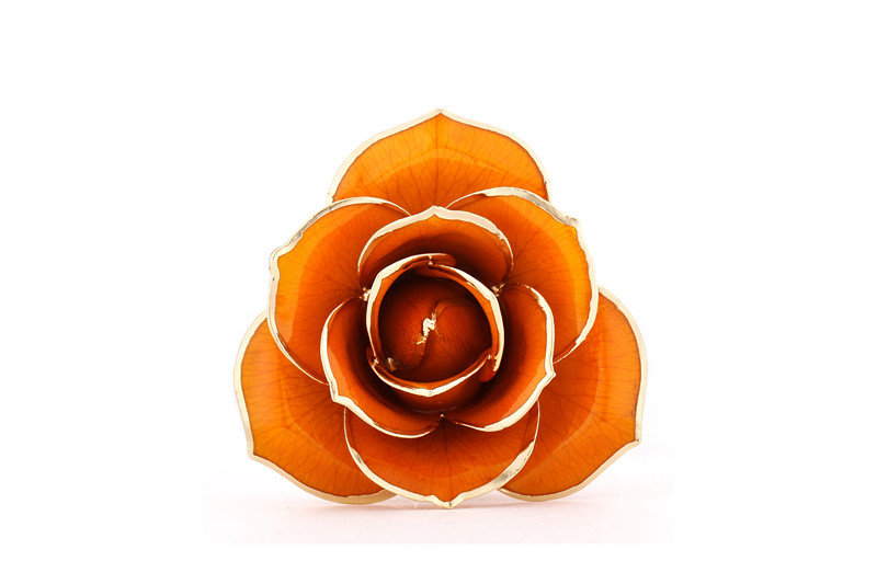 D6-orange