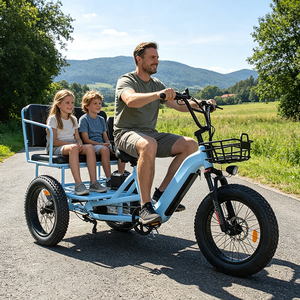 Vélo à 3 roues pour adultes en gros, batterie au lithium amovible 48V21Ah, tricycle urbain pour RSD-711 POWERED RANGE 48 - Product Image 4