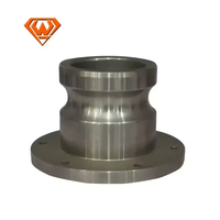 Raccord rapide standard en acier inoxydable à filetage Camlock pour tuyaux, connexion à bride
