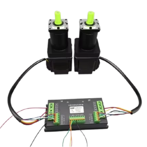 Đôi Điều Khiển Tốc Độ 24V 48V 72V 800W 1000W 1500W 2000W Không Chổi Than DC Động Cơ Kênh Kép Điều Khiển Điều Khiển - Product Image 1