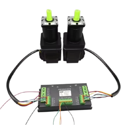 Double Speed Control 24V 48V 72V 800W 1000W 1500W 2000W Brushless DC Motor Dual Channel Controller Driver