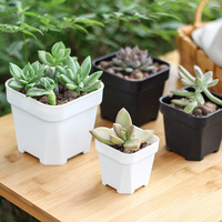 Macetas Cuadradas para Plántulas, Vasos de Plástico para Semillas, Macetas para Suculentas, Contenedores para Plantas de Jardín