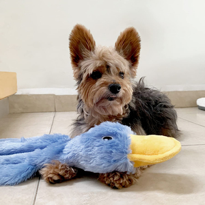 Toptan en iyi kırışık ördek interaktif köpek oyunu oyuncaklar peluş uyku yoldaşları küçük sarı ördekler eziyet diş ve sesler yapmak - Product Image 6