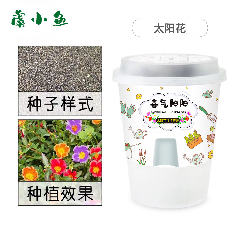 Kit de plantation de tournesol