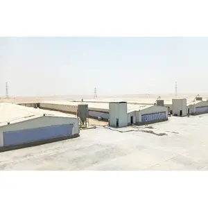 China Supplier Construction Design Prefabricated Steel Structure Broiler House Chicken Building Poultry Farm Shed For Layer