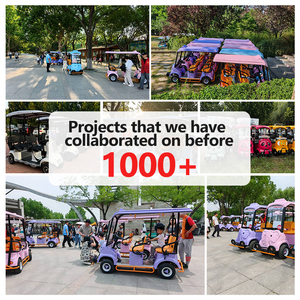 Tricycle électrique simple de 500W avec quatre sièges et freins à disque de version de vélo à quatre <span class=keywords><strong>roues</strong></span> de couple pour le transport de marchandises - Product Image 6