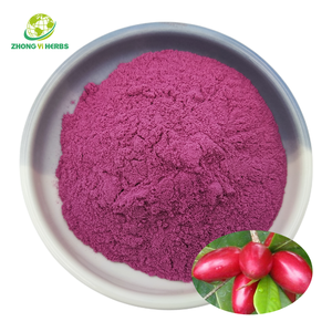 OEM Private Label naturale Synsepalum Dulcificum frutta miracolo bacca estratto miracolosa polvere - Product Image 1