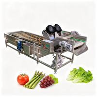 Commerciële groentewasmachine 304 roestvrij staal luchtbel fruitwasser industriële voedselverwerkingsapparatuur